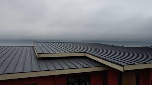 Best Roof Ventilation Installation  in San Augustine, TX